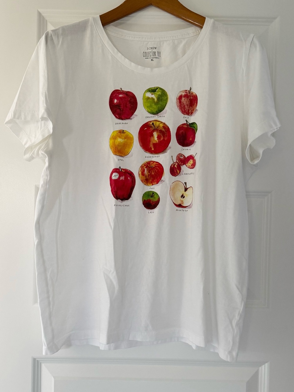 J CREW Apples Graphic Collector Tee 
Size XL